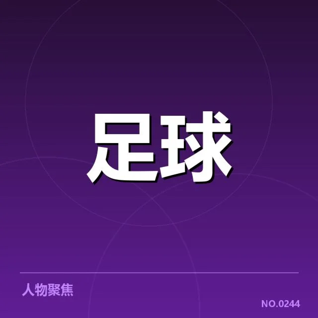 财务数据与官方披露信息整合